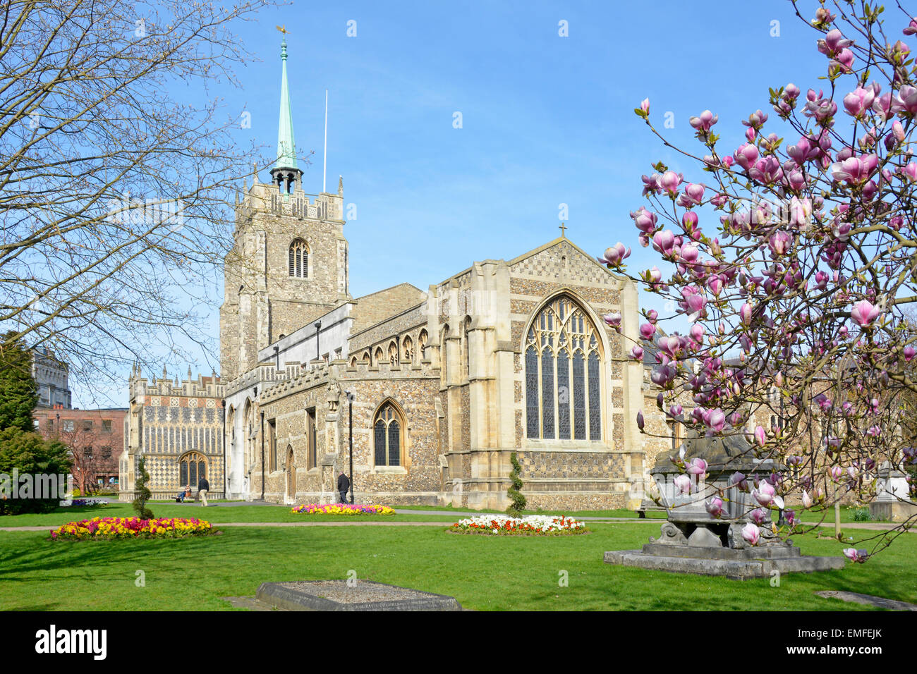 Città Di Chelmsford Gotico Stile Anglican Cattedrale Torre Chiesa E Verde Guglia Pietra 